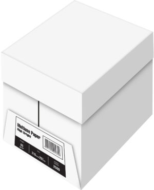 Papier ksero do drukarki biały A4 80g karton 5 ryz